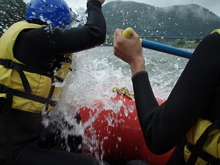 P1010036.jpg